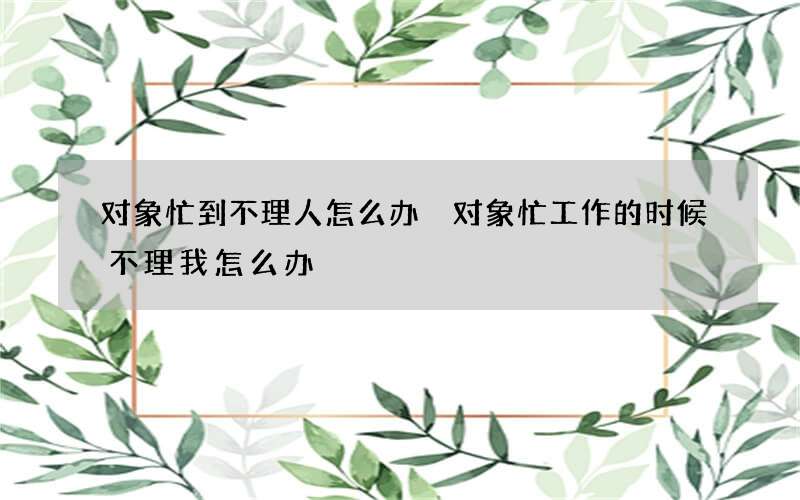 对象忙到不理人怎么办 对象忙工作的时候不理我怎么办